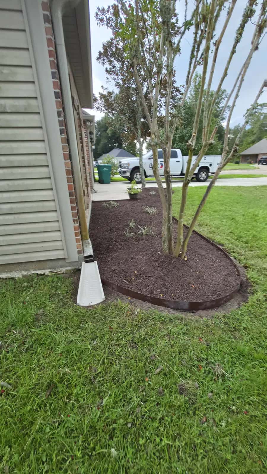 Mulched corner bed with steel edging, ornamental grasses, and a cleaned-up crape myrtle in Denham Springs, LA.