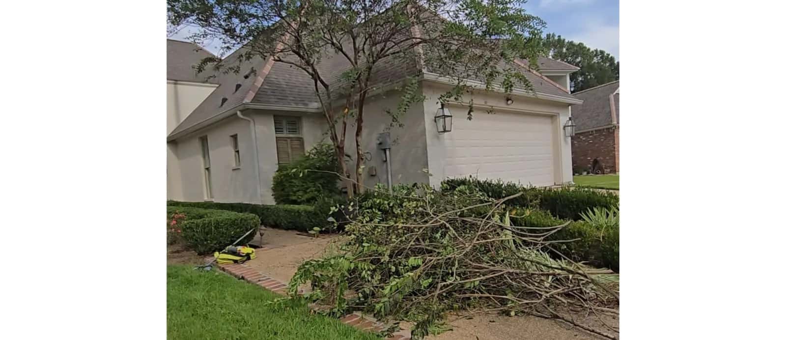 Pile of cut branches on a driveway after residential hedge and tree cleanup.