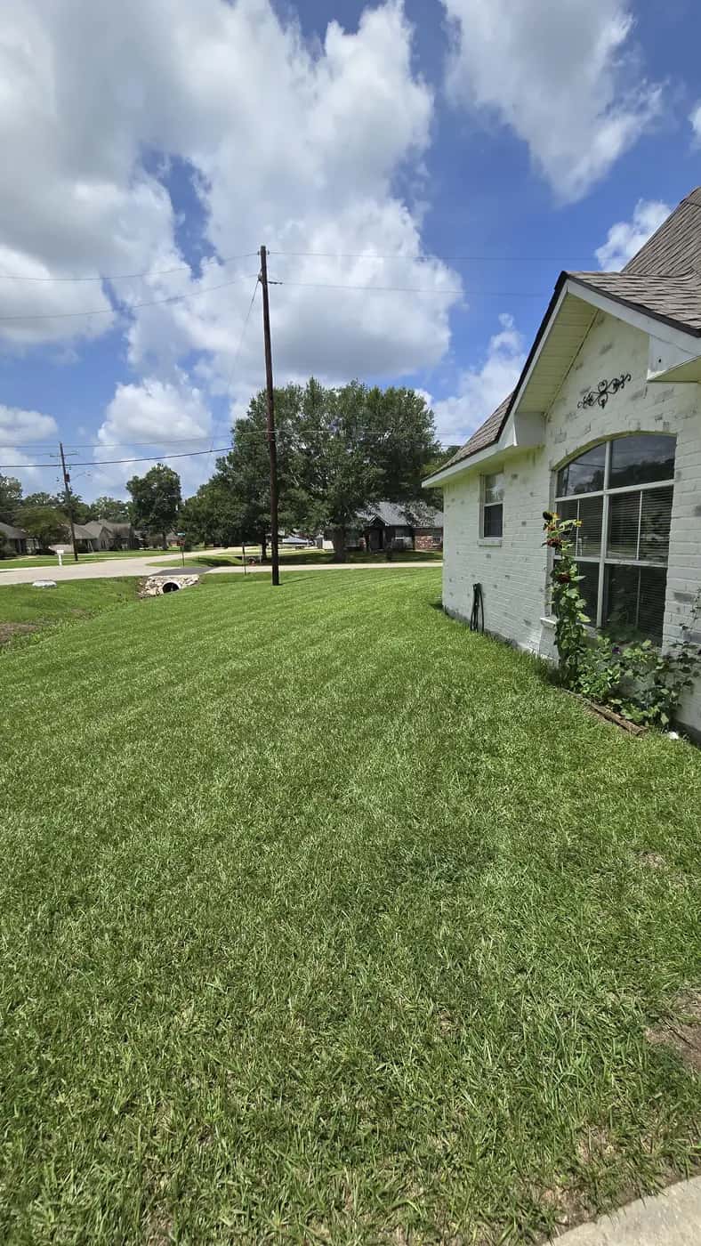 Freshly mowed lawn with clean mowing stripes after a Southern Buck Lawn visit.